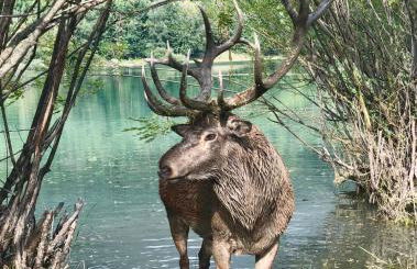 Casetta Angie - Foto 61