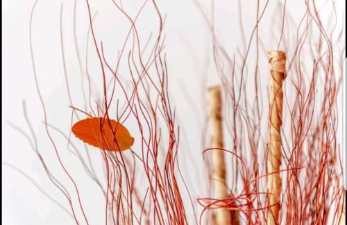 Ronda Playa - Foto 11