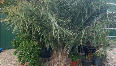 Villakunterbunt - Foto 5