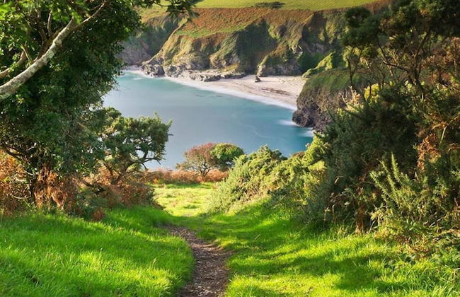 1bed Cottage Sleeps 2 - Enclosed Garden, Pets, Bbq - Foto 11