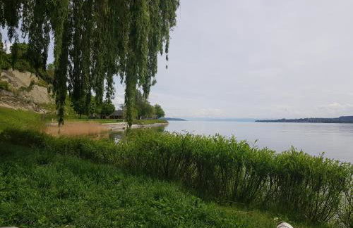 Fewo Simone - Überlingen City - - Foto 19