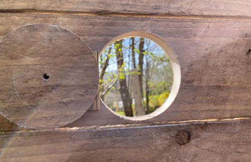 Retro Lodge nr Dartmoor with hot tub & opt sauna - Foto 23