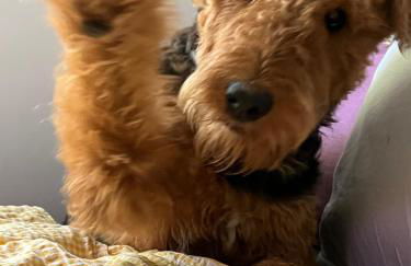 Seelenglück - Foto 54