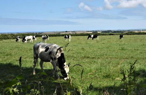 4 Bed in Wadebridge oc-75734 - Foto 24