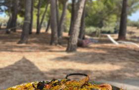 Villa Can Cisquillo Mar - Foto 63