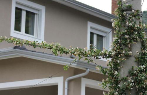 Ginger House - Foto 10