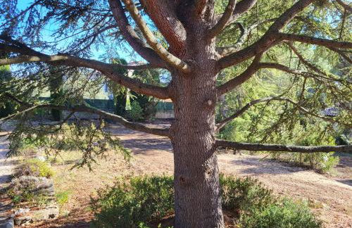 Maison avec piscine chauffée, centre village - Foto 7