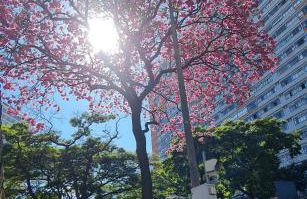 Loft Prime Hospedagem com elegância no coração de BH - Foto 36