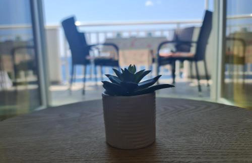 Apartments Pavlić - Photo 28