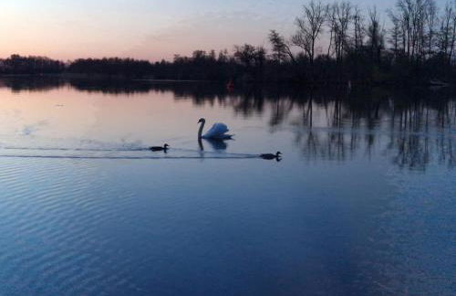 Ferienwohnung Zur Ziegelei - Foto 27