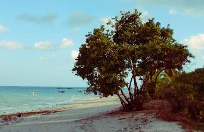 Casa com piscina no centro de Maragogi pertinho da praia! - Foto 28