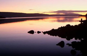 The Willows at Mullans Bay - Foto 61