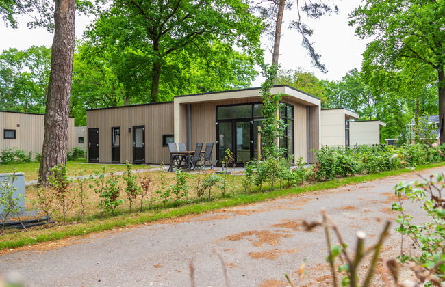 2 bedroom House in Belfeld with swimming pool and terrace - Photo 6