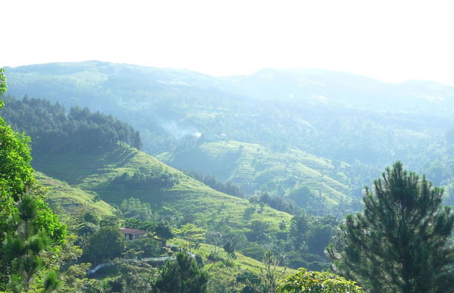 Amandari Holiday Villa - Foto 40