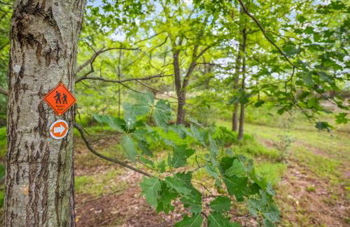 Trailblazer Lodge - Upscale, hot tub, trail, game room, wifi, fire pit, bar, pool table, king bed, view, pet friendly - Photo 21