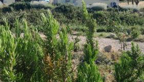 Dependance Pavoncella - Foto 5