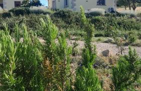 Dependance Pavoncella - Foto 5