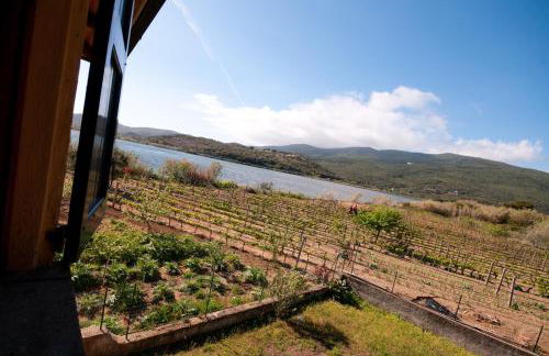 Appartamenti in Villa e Casali a Giannella - Foto 35