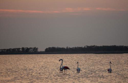 GuestHost - Lido di Spina Duplex Apartment - Foto 27