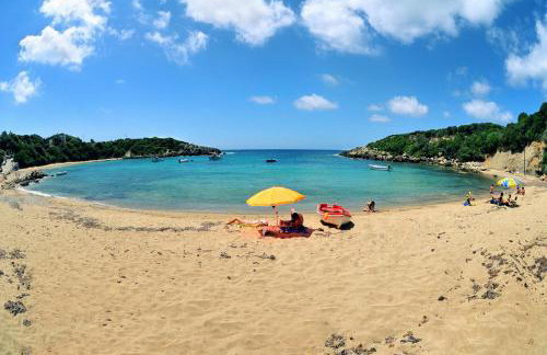 ΤΕΛΛΟΣ ΑΓΡΑΣ - Foto 15