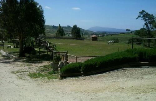 Herdade da Hera - Foto 35