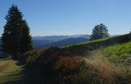 Wohnung Mitterdorf - Foto 28