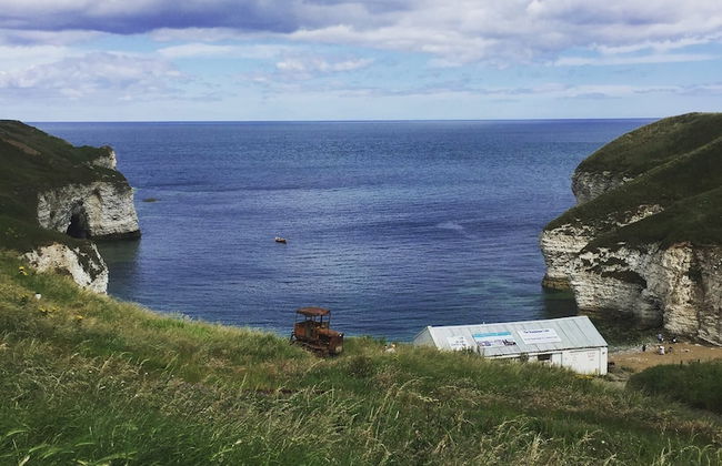 Yellow Hammer - Free Wifi - Foto 8