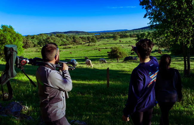 Observation d'oiseaux à Monfragüe - Photo 3