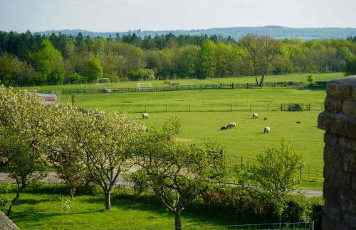 Knapp Cottage - Foto 20