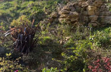 Mulberry House Farm The Garden Room - Foto 9