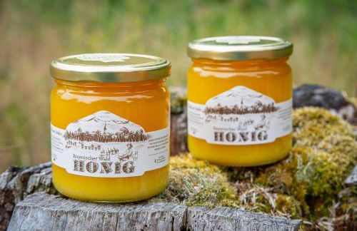 Ski-Bike-Apartment Bayerwald - Foto 25