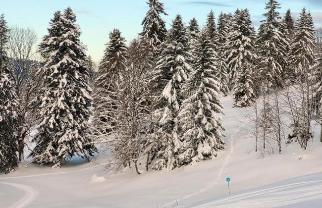 Chalet in Saint Laurent on a Slope - Foto 36