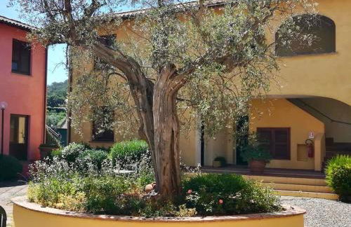 Borgo Venecca - Foto 50