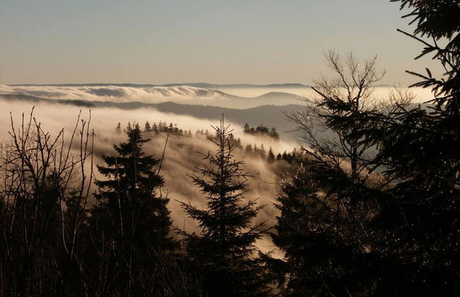 Comfy Apartment in Salmensbach near River - Photo 12