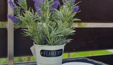 FeWo Wanderlust - Foto 5