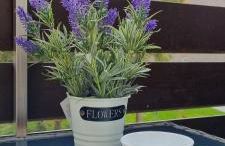 FeWo Wanderlust - Foto 5