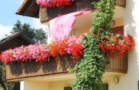 Bauer Haug - Foto 11