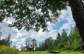 Cichy Brzeg Mazurski - Foto 30