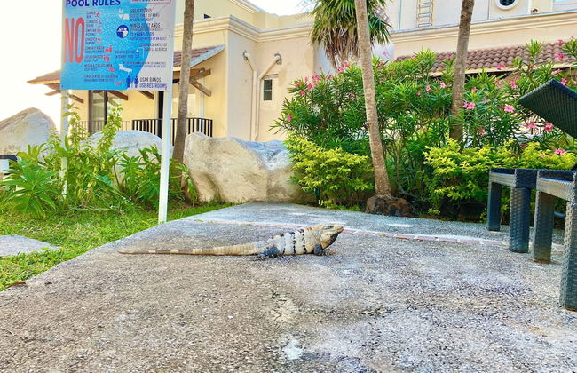 Cascada by Andiani Travel - Photo 39