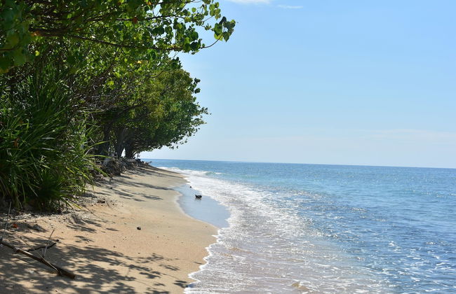 The Barari Villas - Foto 50