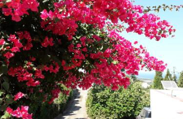 Casa Vacanze di Pieranna - Foto 11