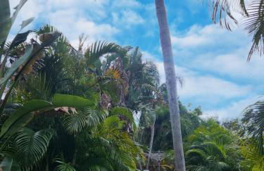 Largo, Fl Heated Pool 2 miles from Indian Rocks Beach Pets - Foto 69