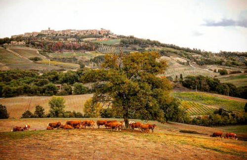 Agriturismo Alchimista - Foto 47