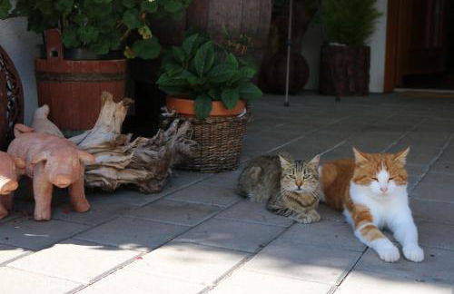 Gasleidhof - Photo 16