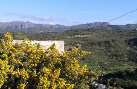 Tsikalaria Traditional Stone House - Photo 38