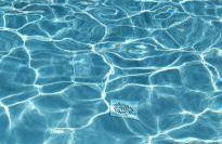 La Casetta di Camelia - Foto 47