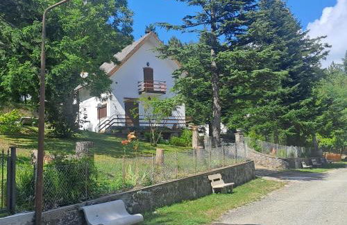 La piccola baita - Photo 43