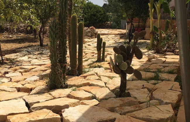 Casale Cappuccini - Foto 26