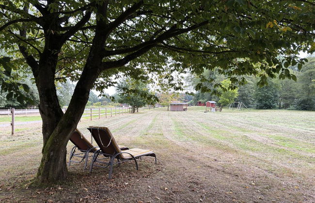 Ferienhaus in Eschede - Foto 35