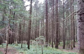 Wuthering Heights - Foto 42